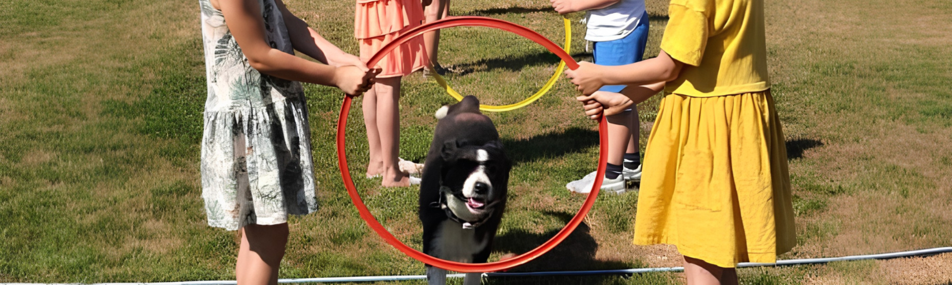 Brez naslova (1860 x 560 pik) (1)