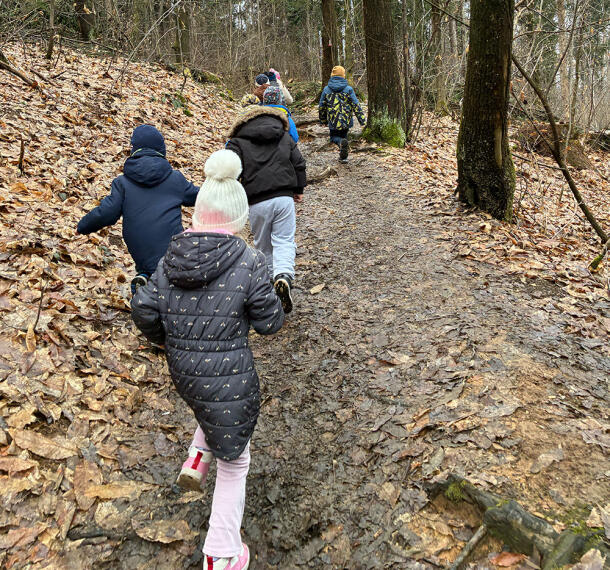 Gozdne poti Galerija 01