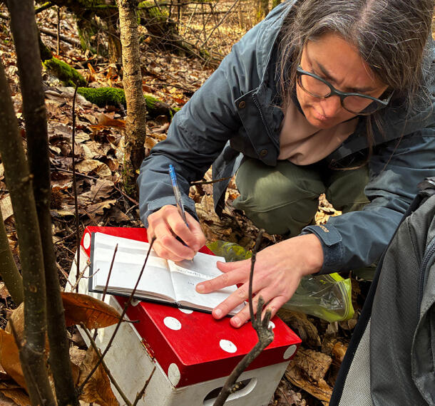 Gozdne poti Galerija 02