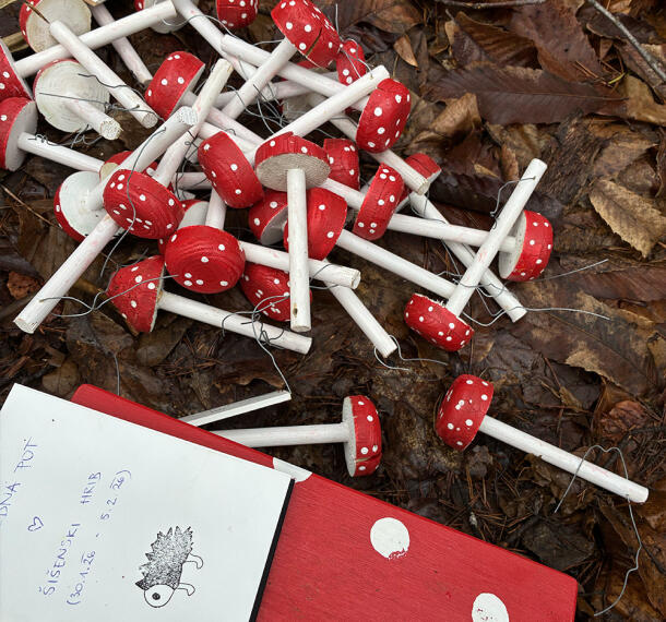 Gozdne poti Galerija 04