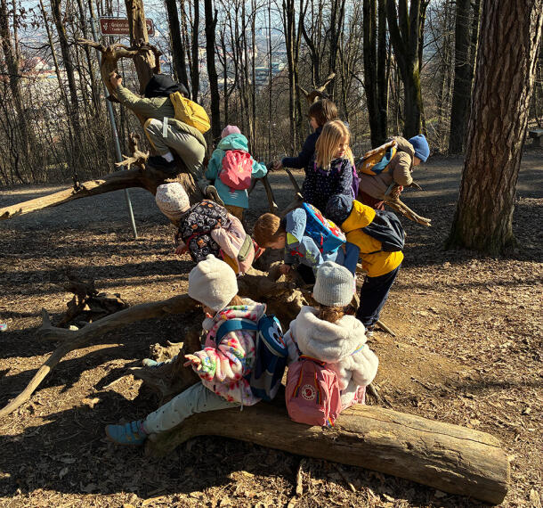 Gozdne poti Galerija 05