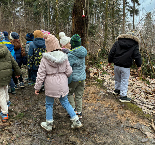 Gozdne poti Galerija 07