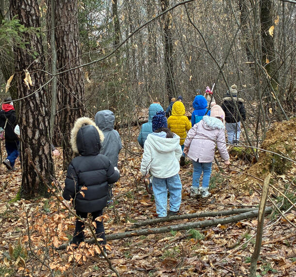 Gozdne poti Galerija 08