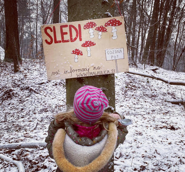 Gozdne poti Galerija 10