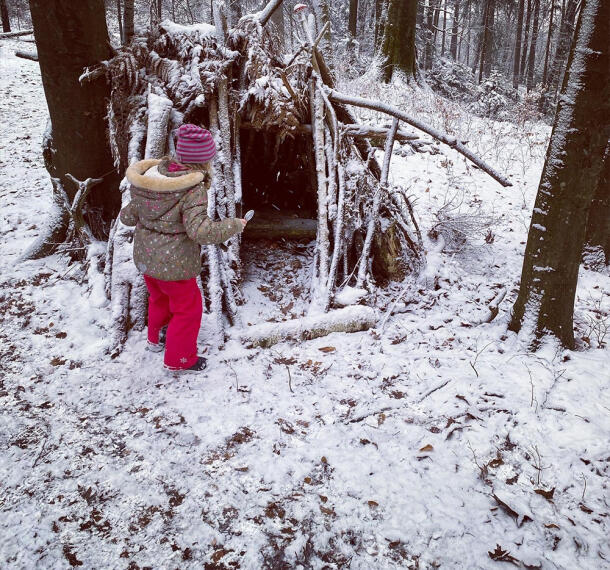 Gozdne poti Galerija 14