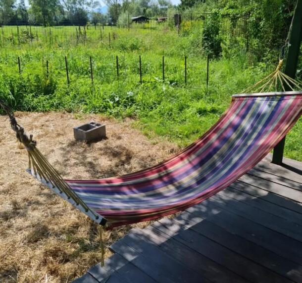 Koticek za pocitek ali branje