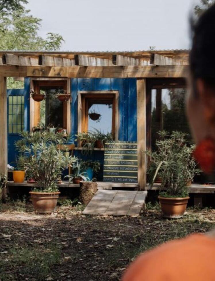 Počitnice v Kraterju