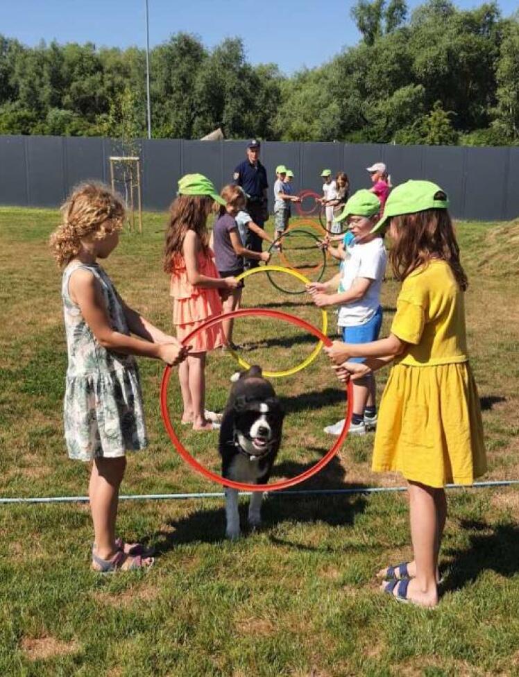 Počitnice z živalmi