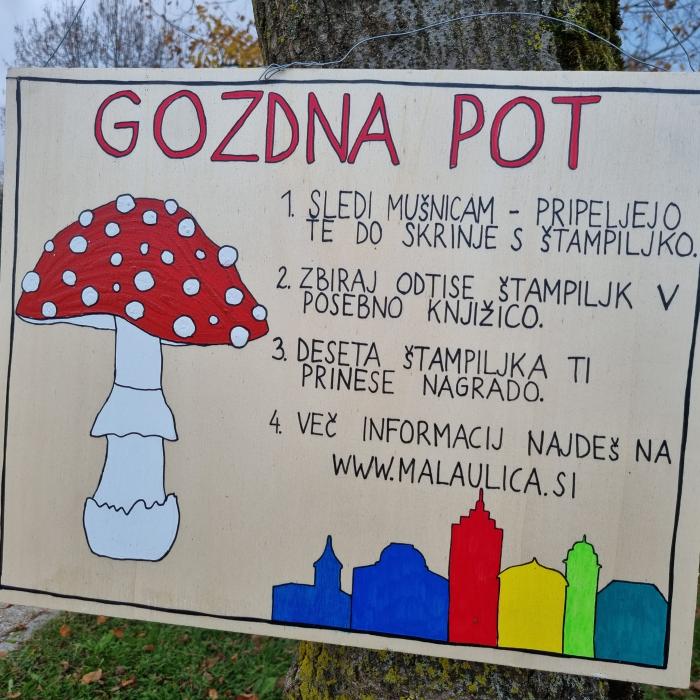 Gozdna pot