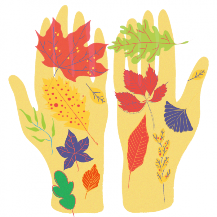 Ilustracija človeških dlani s pisanim drevesnim listjem.